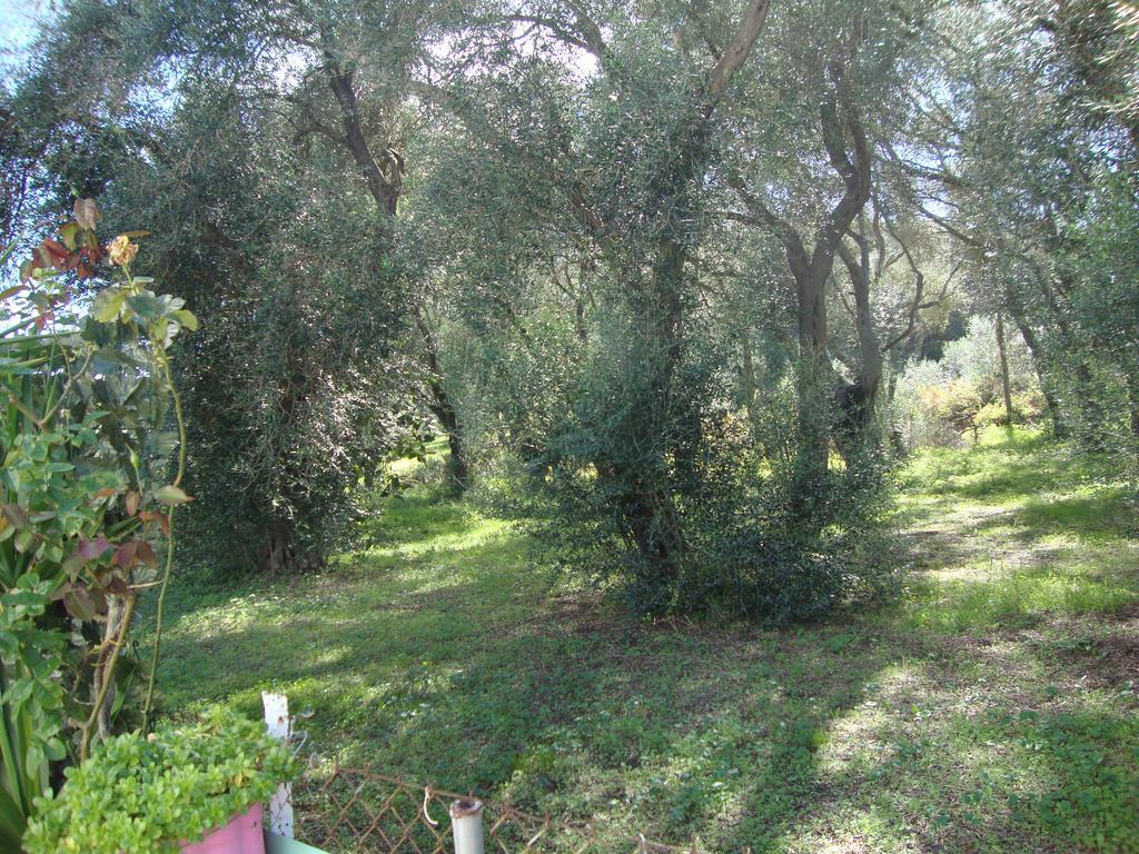 Tasia Studios Perivólion Buitenkant foto